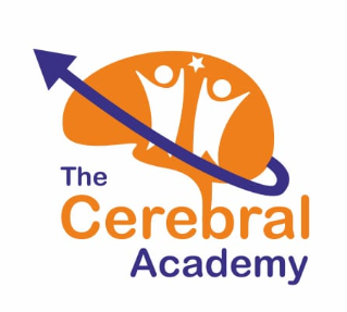 The Cerebral Academy